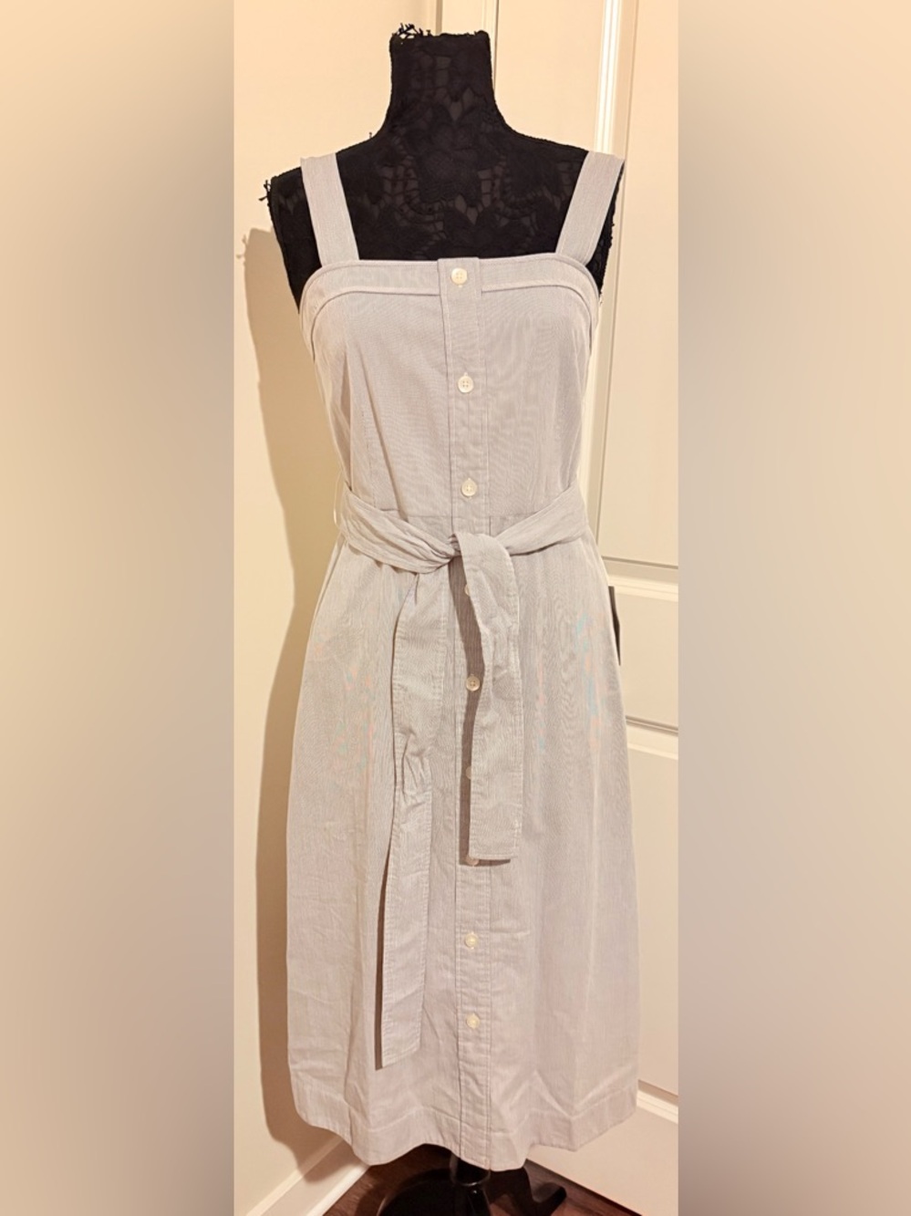 Everlane The Cotton Weave Picnic Dress pinstripe sailor blue Size 8- NWT